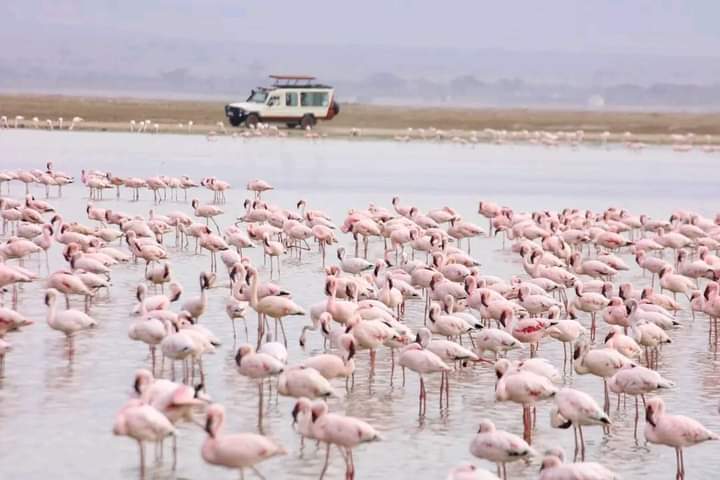 Lake Nakuru