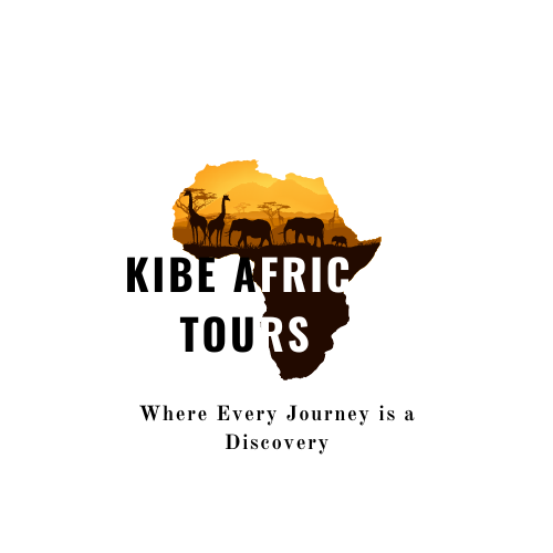 Kibe Afric Tours